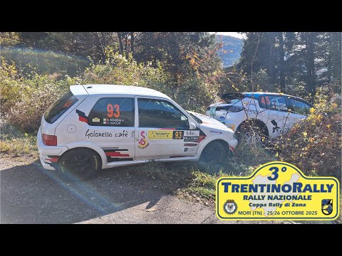 3° Trentino Rally 2025   Crash & Show