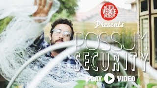 DIY Possum Security