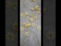 বকুল ফুল Bokul Ful Flower Spanish Cheery Bullet Wood
