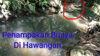 Download lagu Penampakan Buaya|| Video Editan|| KineMaster|| Green Screen. mp3