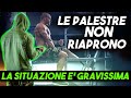 LE PALESTRE NON RIAPRONO - Situazione GRAVISSIMA