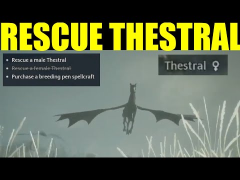 How to "Rescue a Thestral" Hogwarts Legacy (foul of the dead Quest Guide)