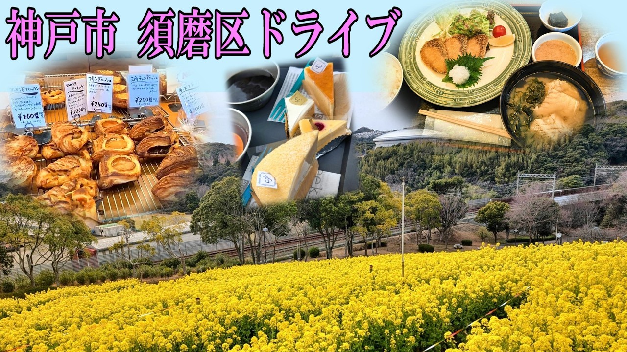 市場直送 海鮮料理  ラウンドパンが9種！人気パン店　チーズケーキ専門店 5万本の菜の花が咲く公園