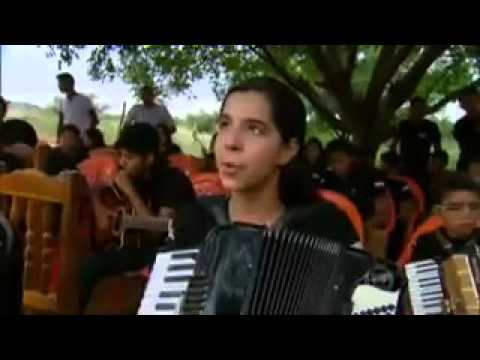 Reportagem sobre o Projeto exibida no Jornal Hoje da TV GLOBO