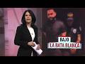 El Informe Con Alicia Ortega Bajo La Bata Blanca