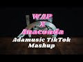 Cardi B - WAP X Anaconda [TikTok Mashup] | Adamusic