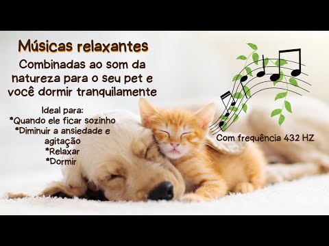 MÚSICAS PARA ACALMAR E RELAXAR VOCÊ E SEU PET AO SOM DA NATUREZA | DIMINUI AGITAÇÃO E ANSIEDADE