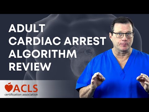 Adult Cardiac Arrest Algorithm | ACLS Certification Association