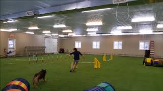 Agility Agility Agility!