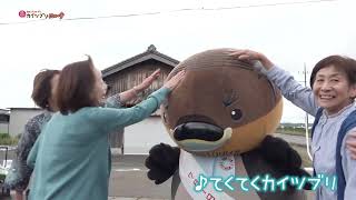 2026/7/29放送・知ったかぶりカイツブリにゅーす