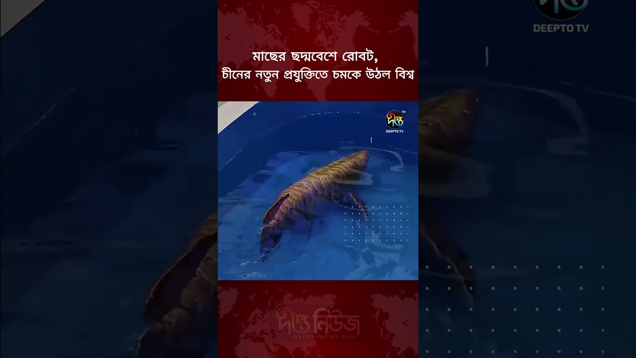 মাছের ছদ্মবেশে রোবট, চীনের নতুন প্রযুক্তিতে চমকে উঠল বিশ্ব l AI Robot l Robotic Fish l Deepto News
