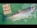 Salmon Chaos! Nonstop Double Headers & GIANT Chinook Released