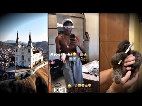 X x OS CARRO MONSTRO DO CPX, ABELHA, URSO, PROFESSOR MACACO RUSSO [ DJ COELHÃO ] TIK TOK