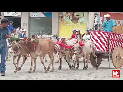 Cavalgada e desfile com carros de boi - Dia do Trabalhador - Mutum-MG (01/05/2024)