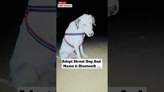 Bluetooth We Miss You  😭 | #152 | #shorts #minivlog #dog