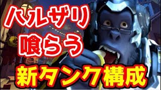 【オーバーウォッチ】 新タンク構成！？ハルザリ攻略にヤツが活躍！？ ウィンストン編【Overwatch】