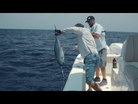 Nomad Design Metal Jigs  - How and When to use Nomad Jigs with Captain Rush