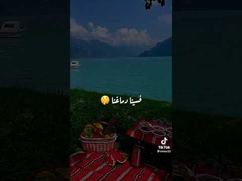 روقان روقان طنش طنش