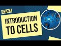 Introduction To Cells All About Cells And Cell Theory