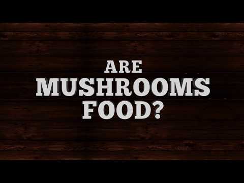 Are Mushrooms Food? - 119 Ministries thumbnail