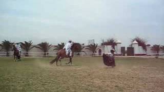 preview picture of video 'caballos bailando marinera'