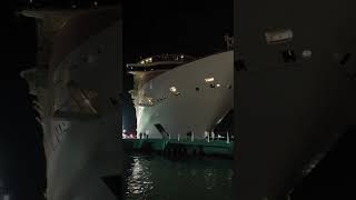 INDEPENDENCE OF THE SEAS😍  #cruiseship #cruise #cruisetour