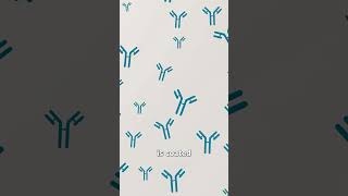 How A Pregnancy Test Works 🤔