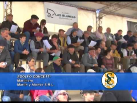 ADOLFO CONCETTI - Cabaña: Surangus - Las Blancas - La Fe - Huanguelen - 02/10/2013