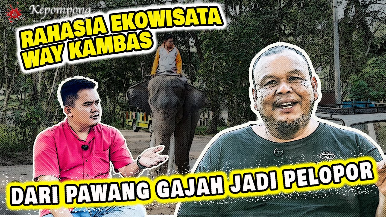 Gerakan Koperasi Wisata Gajah Alam Sejahtera Way Kambas: Dorong Desa Penyangga Jadi Sentra Wisata dan Ekonomi