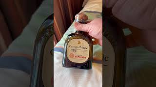 Carnival ACES adults only cruise items we received on the Carnival Magic