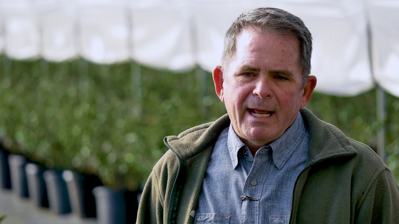 FFVA 2018 Annual Report