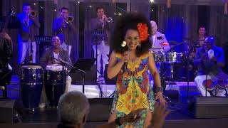 Yerbero Moderno Lyrics English Translation