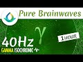 40 Hz Gamma Waves Isochronic Tones (Pure) | Improve Focus & Learning ◑ 1hr ❁ Gaia Meditation