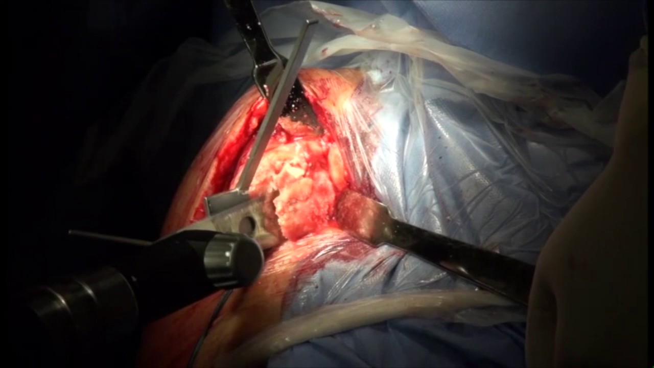 Rogerio Ribeiro Penna-10