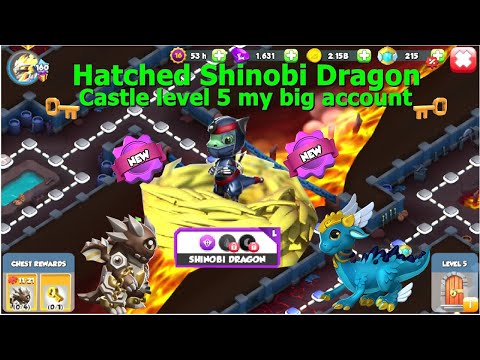 Hatched Shinobi Dragon-Dragon Mania legends | Level 5 Divine Party Rooftop Castle Event | DML