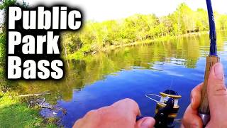Bass Fishing At a Public Park in Tennessee (Spring Fishing)