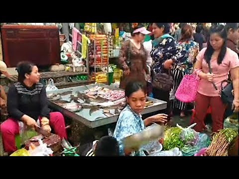 Natural life In Market - Amazing Asian Wet Market In Phnom Penh - Food Tour