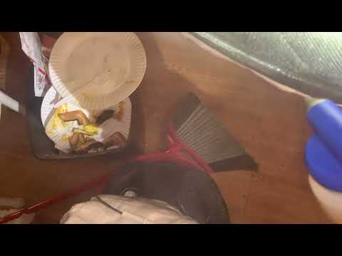 Bed Bug Treatment in Howell, NJ