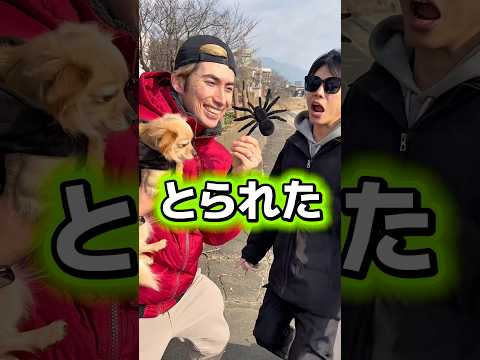 31秒で世界中がゲラゲラ爆笑するダンゴのうた💪#shorts