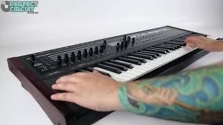 Video thumbnail for Radikal Technologies Accelerator Bass & Leads Sound Demo by Perfect Circuit