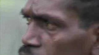 Balgabalga (Hammerhead Shark): David Dharrapuy, yirdaki