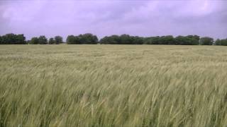 Tim Hecker - Sketch 1 - Dropped Pianos