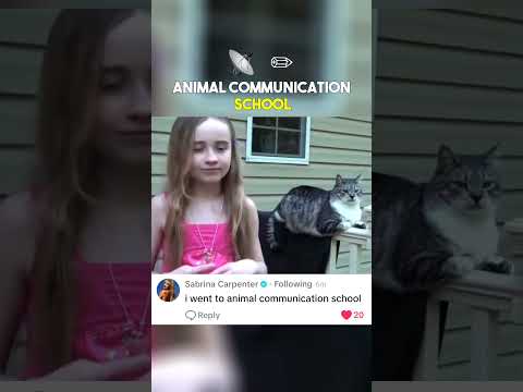 Сабрина Карпентер только что пошутила об одном из своих старых видео 🐈😹😂