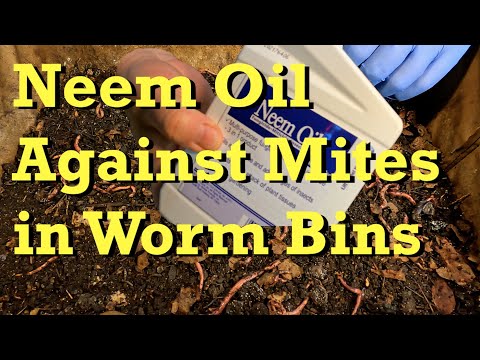 New plan of attack against mites in worm bins (neem oil) - vermicomposting