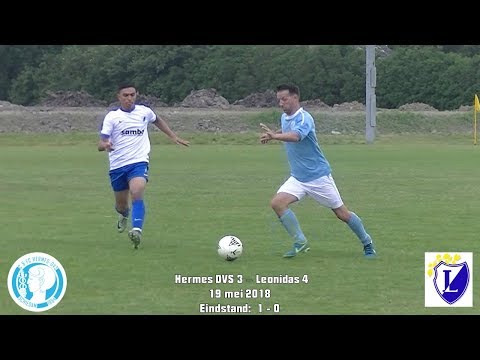 Samenvatting Hermes DVS 3 - Leonidas 4