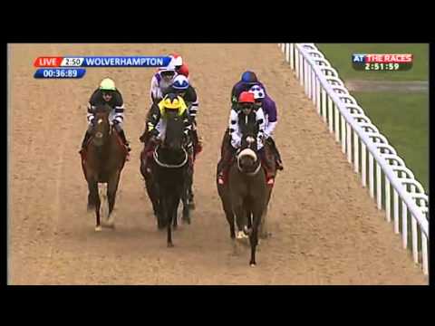 Mister Universe - Ladbrokes Lady Wulfruna Stakes (Fast-Track Qualifier) - 2016