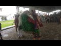 Trichy Elavazhagan Tamil Arts 2