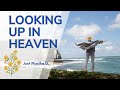 Looking Up In Heaven