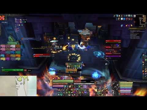 [Herzog Igzor] Mythic Opulence BM Hunter PoV