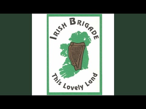 This Land Is Your Land - The Irish Brigade